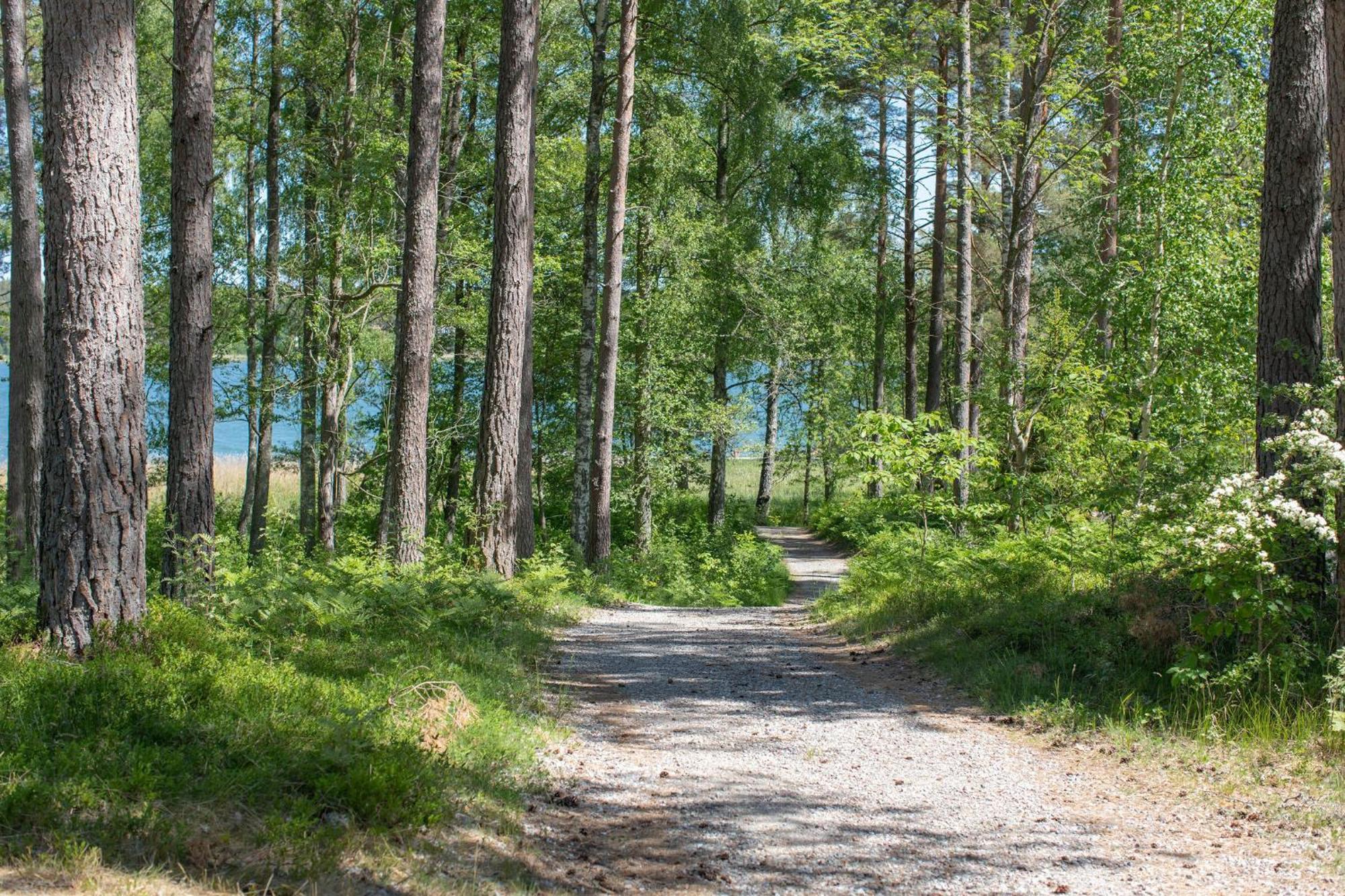 Bergs Gard & Hallsvikens Gard Västerljung Zewnętrze zdjęcie